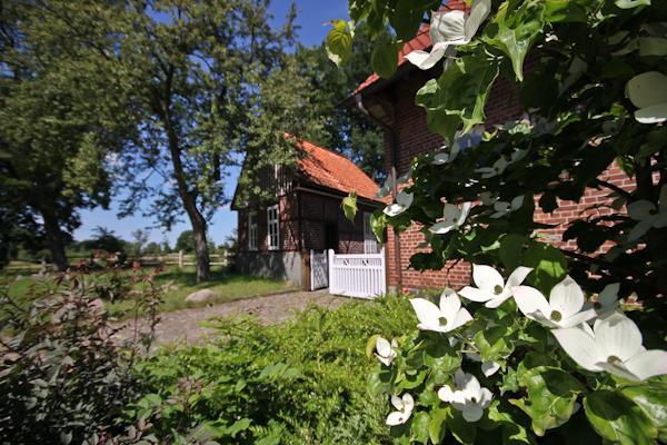 Landgasthof Zur Heideschenke Hotel Wolthausen Exterior foto